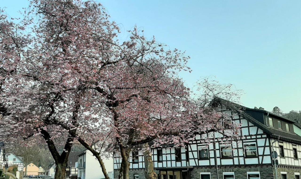 Vivanatura Eifelferienhaus Einruhr Exteriör bild