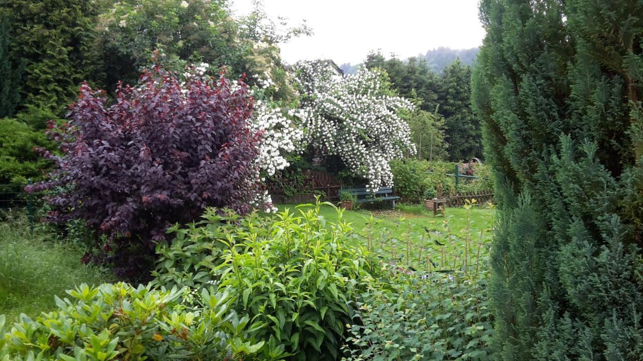 Vivanatura Eifelferienhaus Einruhr Exteriör bild